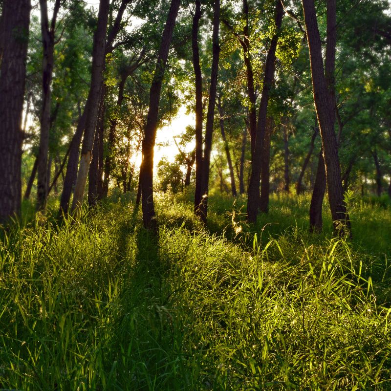 Urbanismo y gestión medioambiental